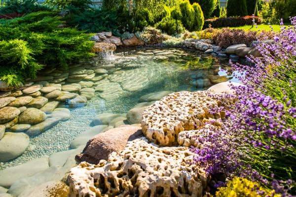 29 Best Water Garden Ideas (Our Favorite + Images) 2020