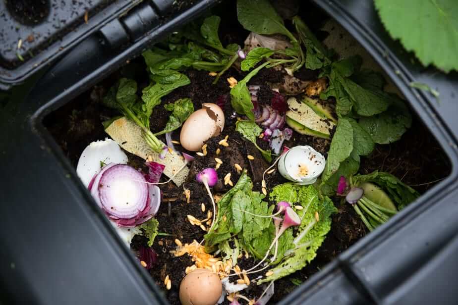The Best Compost Grinder for Home Use: Top 5 Options 2020
