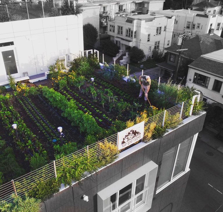 30 Best Rooftop Garden Ideas: Urban Gardens 2020