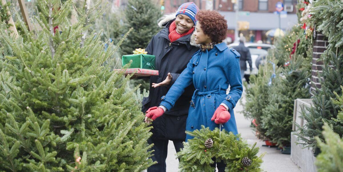 Choosing the Trees