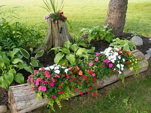 Grow a Mini Flower Bed Within