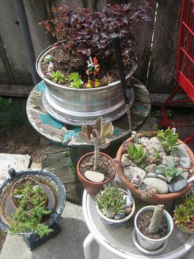 Rim Pots