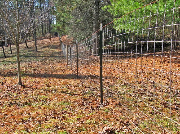 Do It Yourself Goat Fence Opportunity: Building A Trustworthy Fence ...