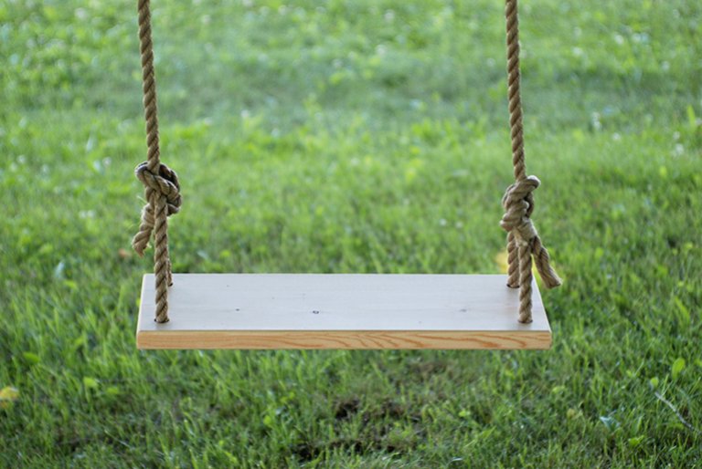 Our Comprehensive Guide On 21 Best Tree Swing Ideas Eathappyproject 8653