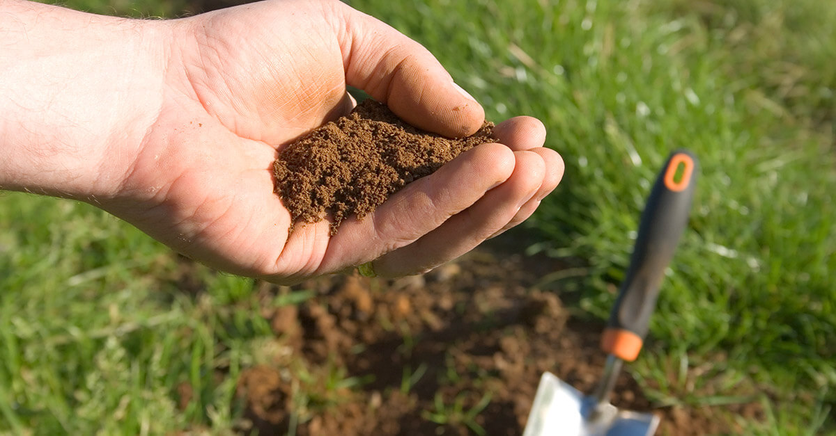 Testing the Soil