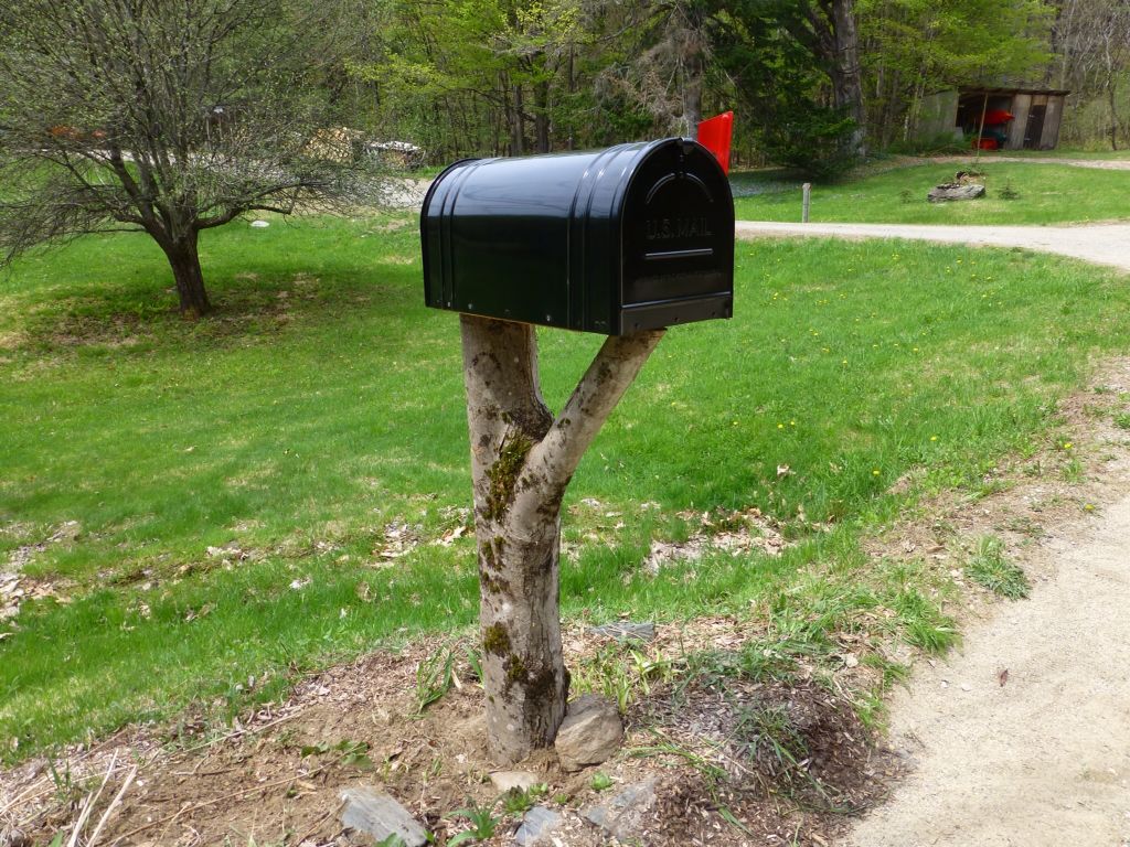 Tree Stump Mailbox