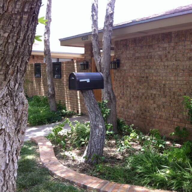 Tree Stump Mailbox
