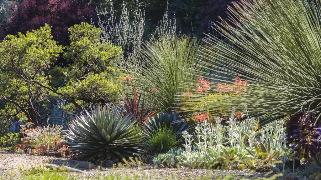 25 Inspiring Dry Riverbed Garden Designs for Every Style