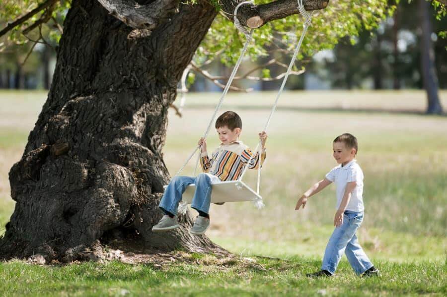 21 Best Tree Swing Ideas: Our Favorite + Images for 2020 - EatHappyProject