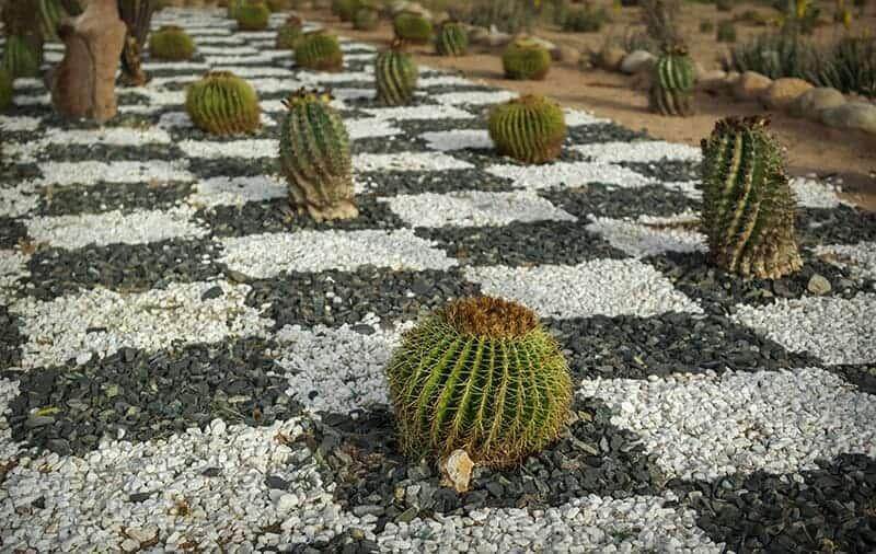 Chessboard Pebbles