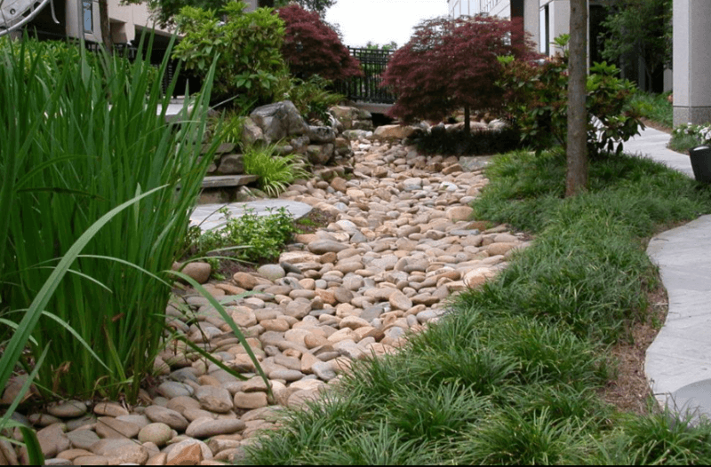 Riverbed Landscaping Ideas