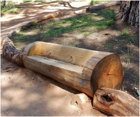 Tree Stump Furniture