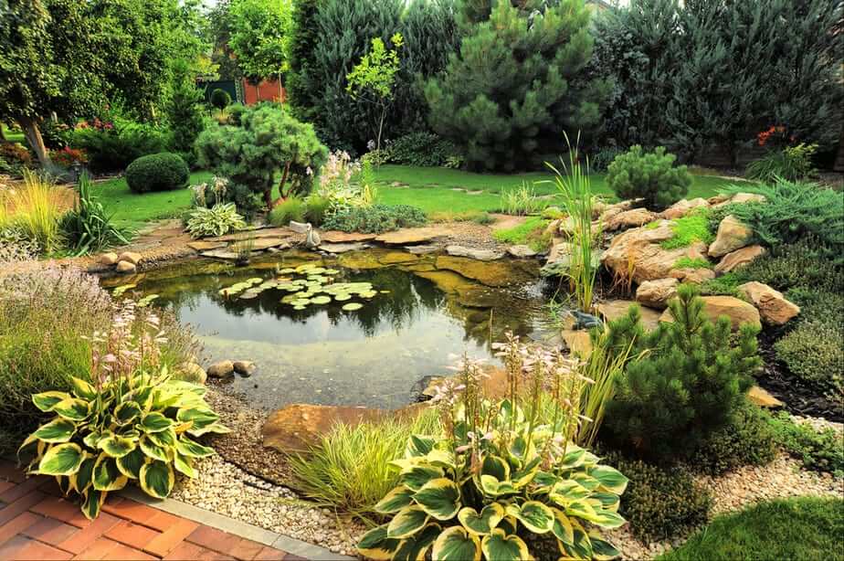 28 Creative Water Garden Ideas to Transform Your Outdoor Space ...