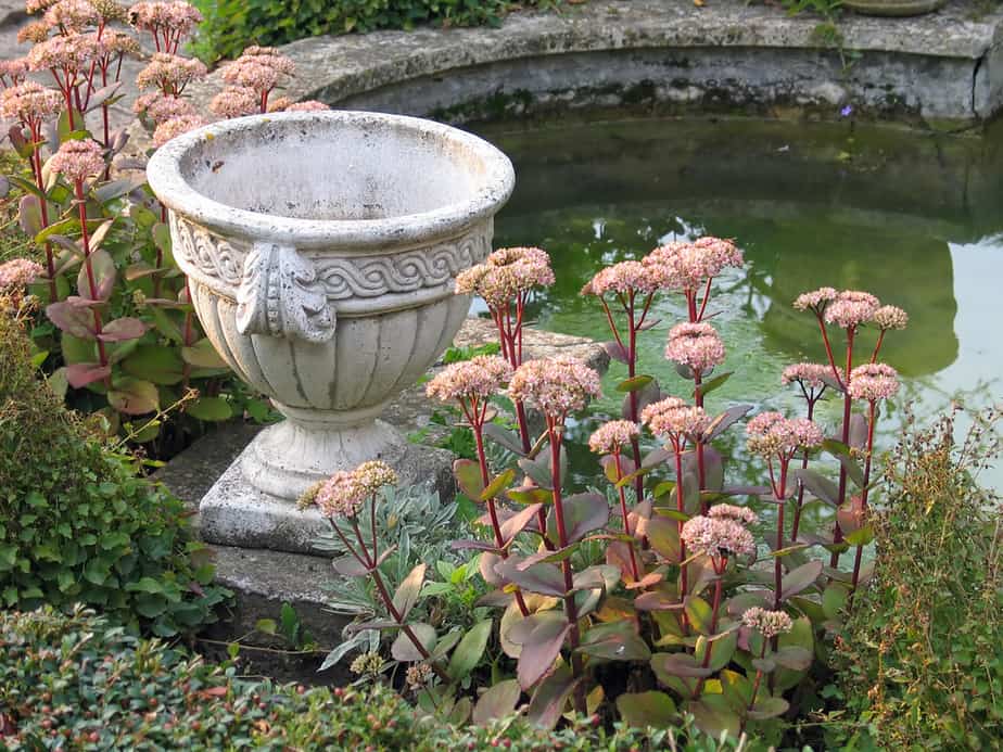 Italianate Water Garden