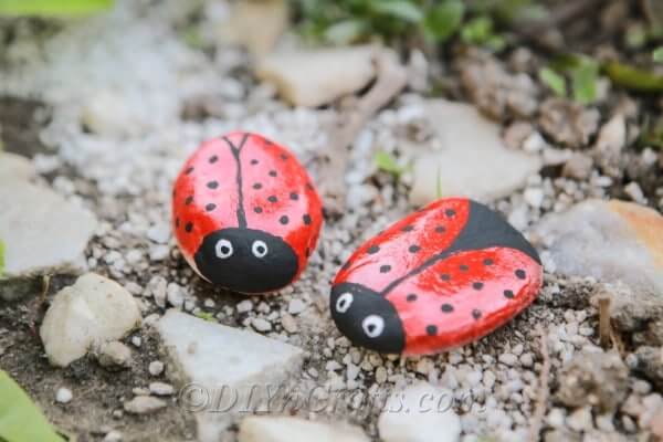 DIY Rock Garden Bugs