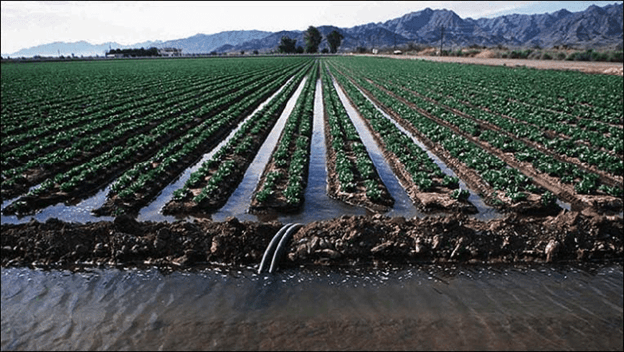 Furrow Irrigation