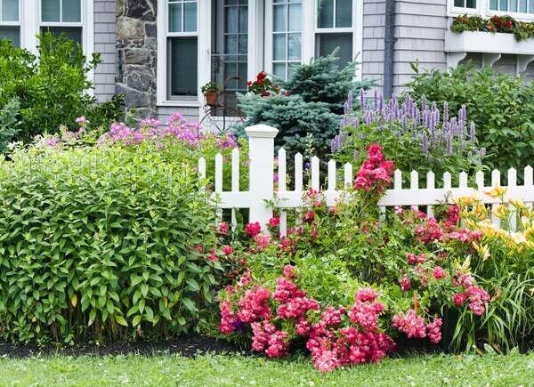 25 Foundation Plants: Landscaping Shrubs for Front of House! 
