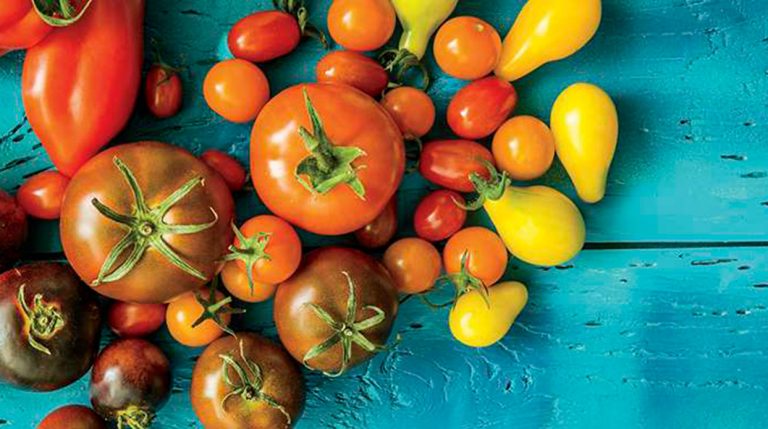 How to Grow Tomatoes in Arizona and 10 Tips for Growing Tomatoes? 