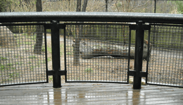 Mesh Railing