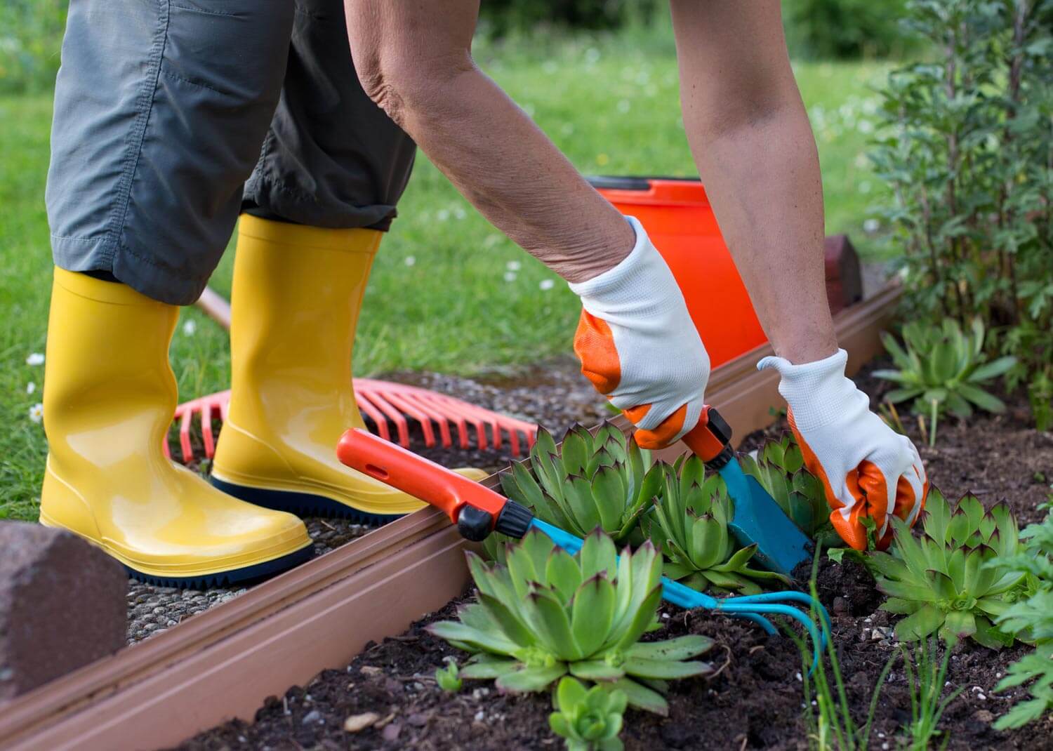 Safety Essentials For Every Gardener - EatHappyProject