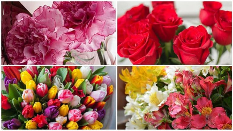 13 Most Beautiful Flowers in the World
