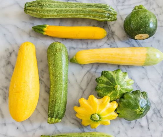 8 Tips for Growing Summer Squash