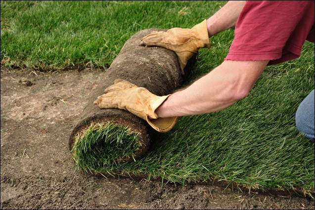 Advantages of Laying  Sod