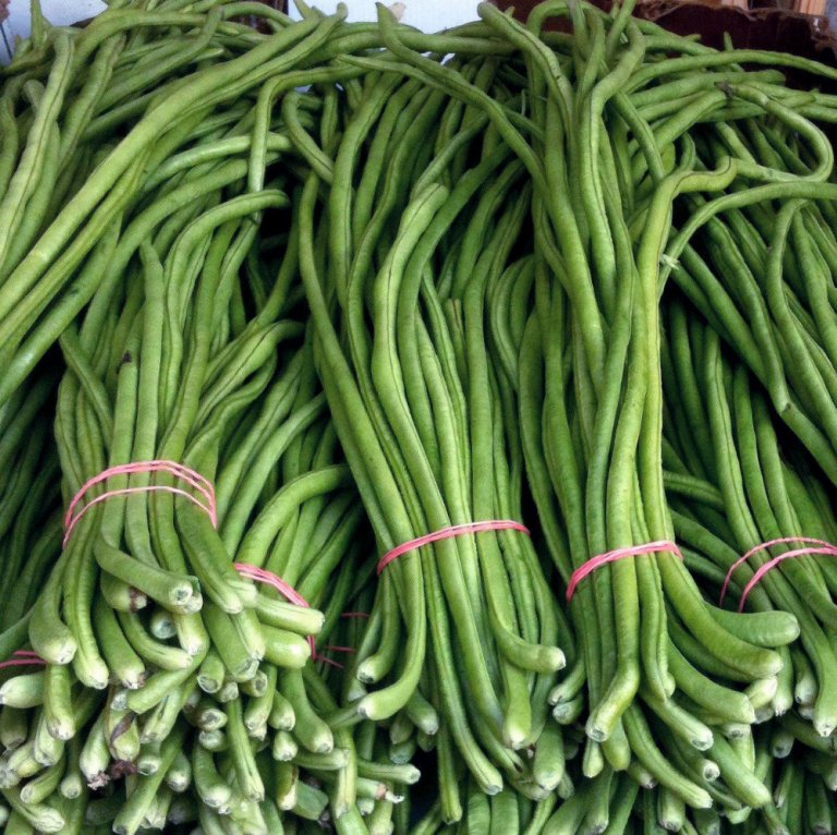 How to Grow Asparagus Beans - 6 Tips for Growing Yard long Beans ...