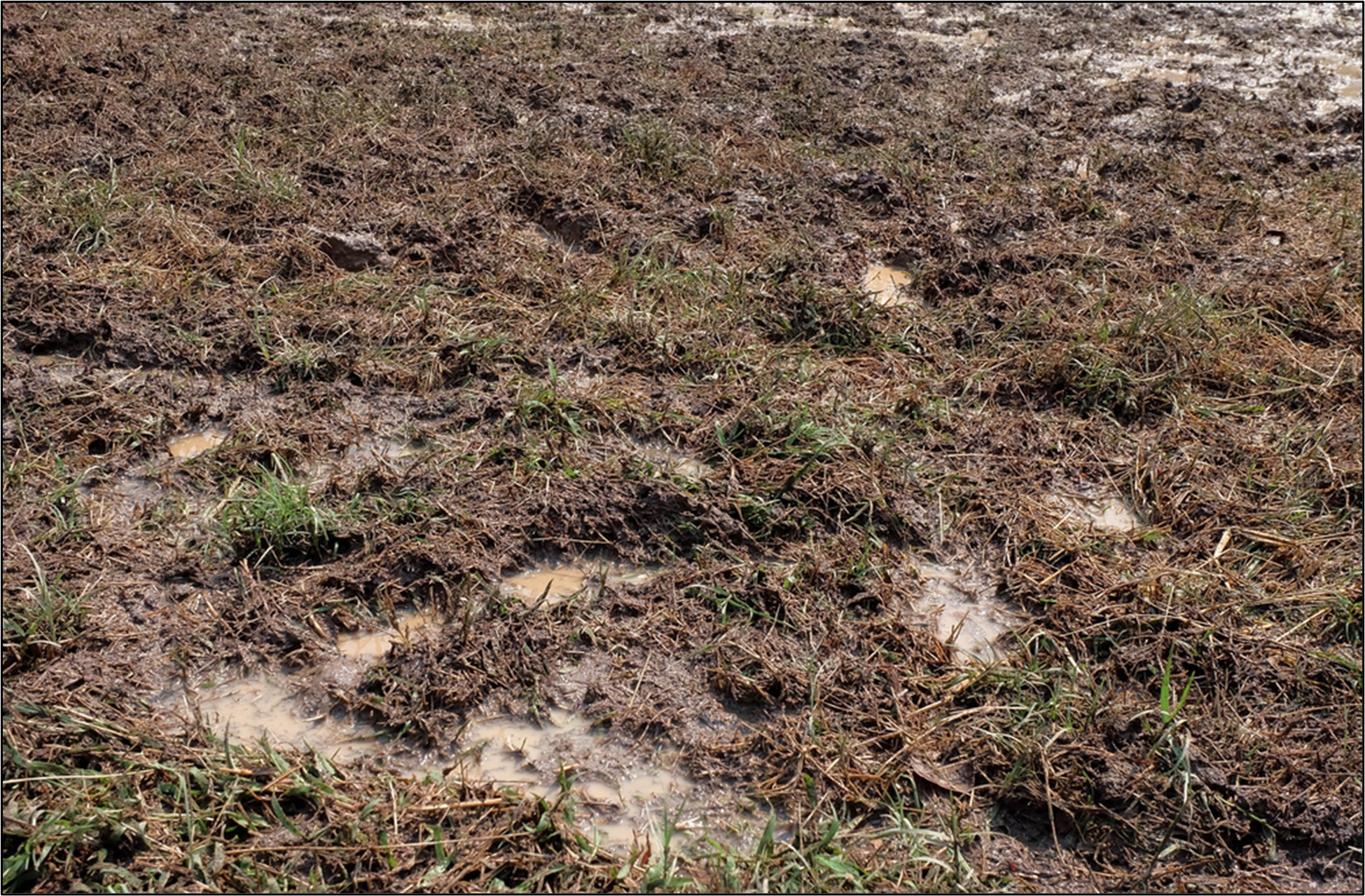 How to shop dry mud fast