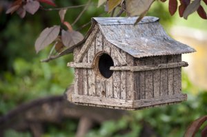 7 Unique Types of Bird Houses to Inspire You - EatHappyProject