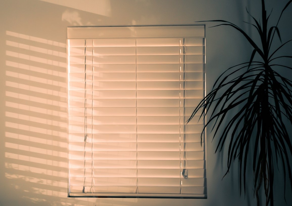 Blinds for New Generation