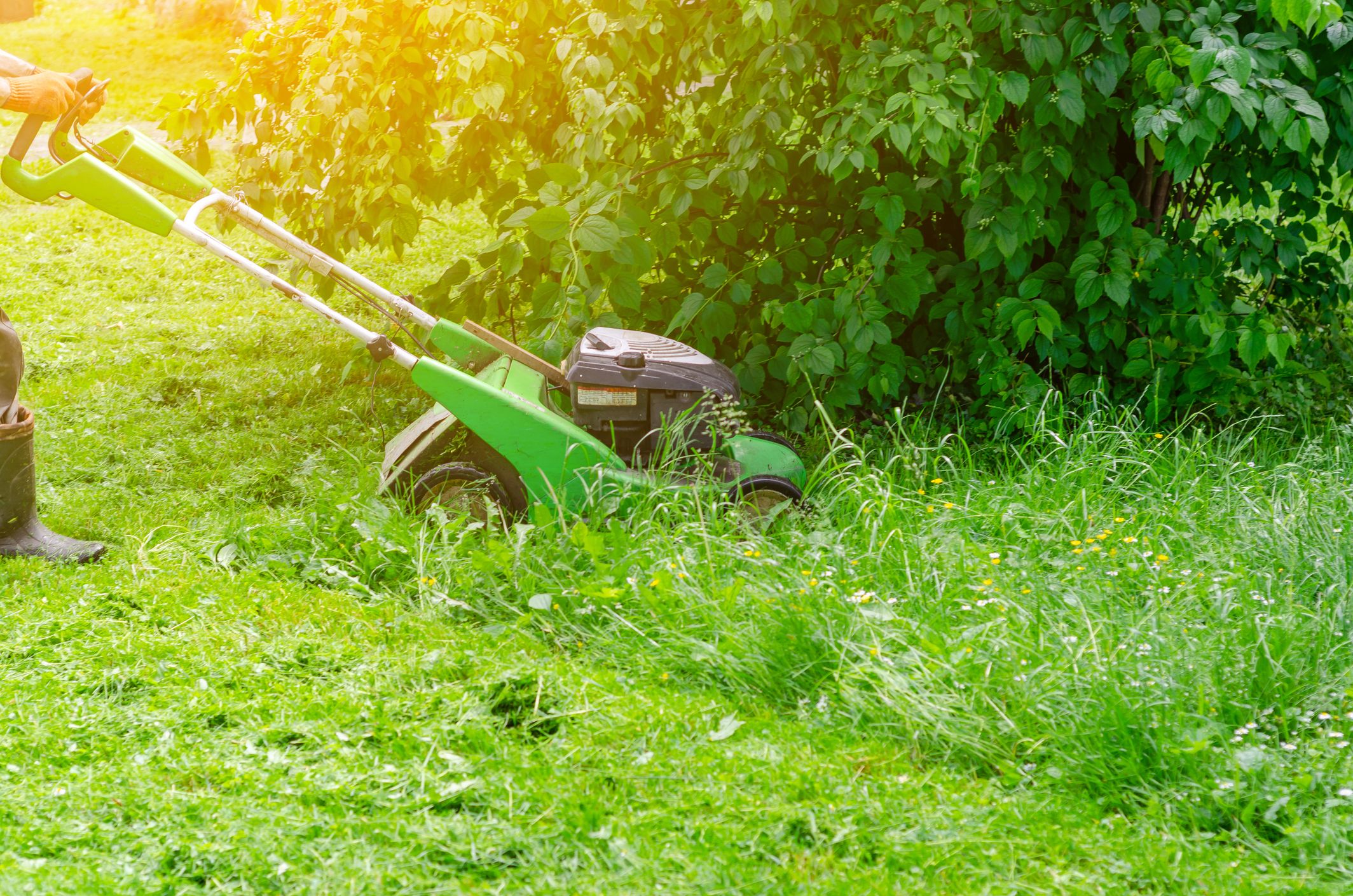 How Often to Mow Lawn in Fall Season