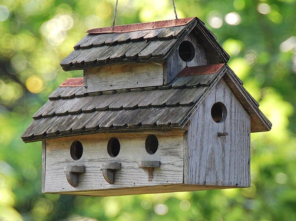 best-bird-houses-for-different-types-of-birds-eathappyproject