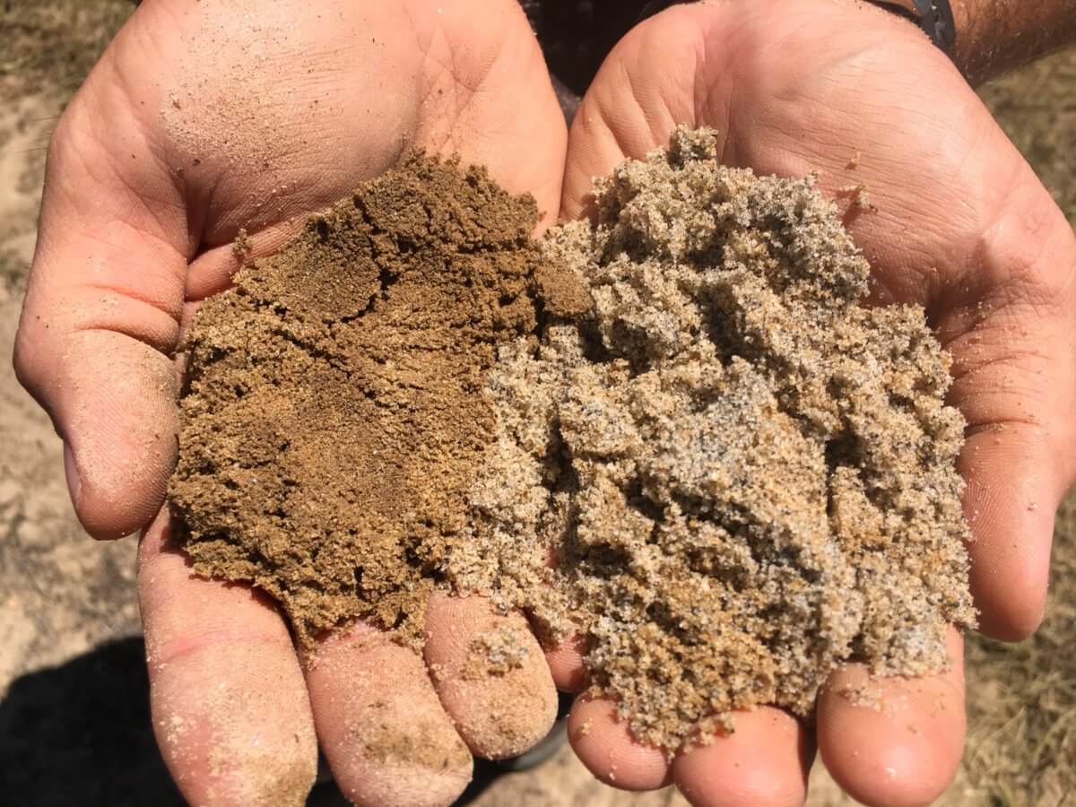 Sandy Soil Structure