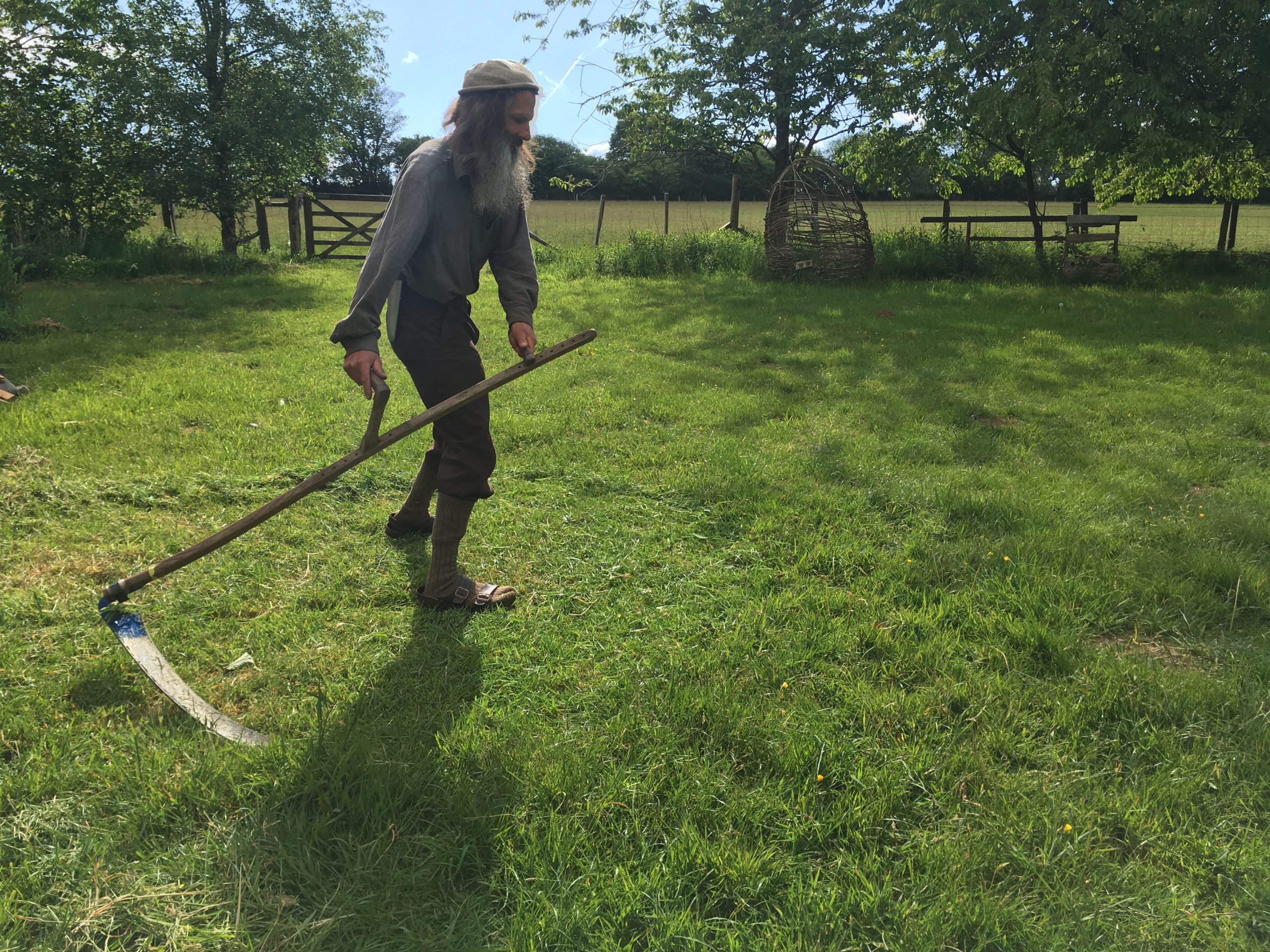 Cutting grass 2025 without a mower