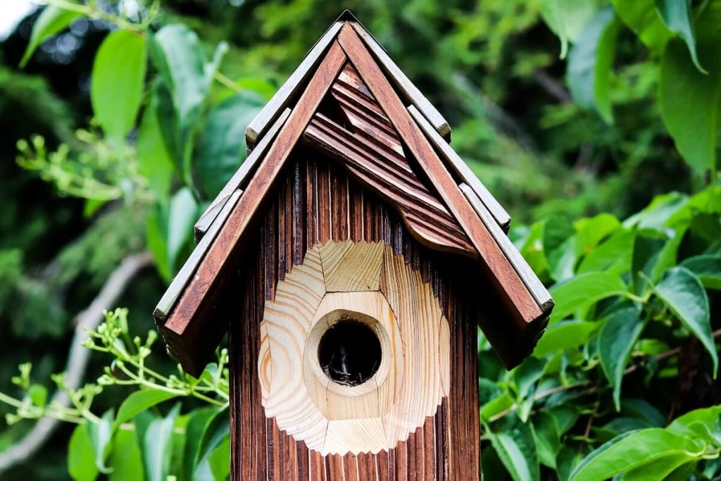 7 Unique Types of Bird Houses to Inspire You - EatHappyProject