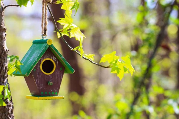 Best Bird Houses for Different Types of Birds - EatHappyProject