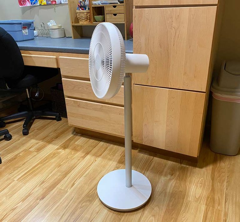 The 10 Best Quiet Pedestal Fan That Are Also the Quietest EatHappyProject
