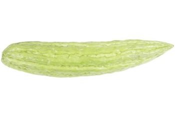 Tips to Grow Healthy Armenian Cucumbers at Your Fence