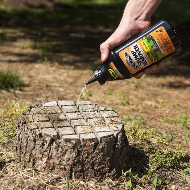 how to stop tree stumps from sprouting: Tree stump remover