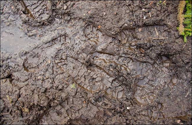 how to dry up a wet yard fast