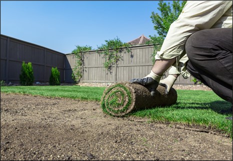 Uses of Sod