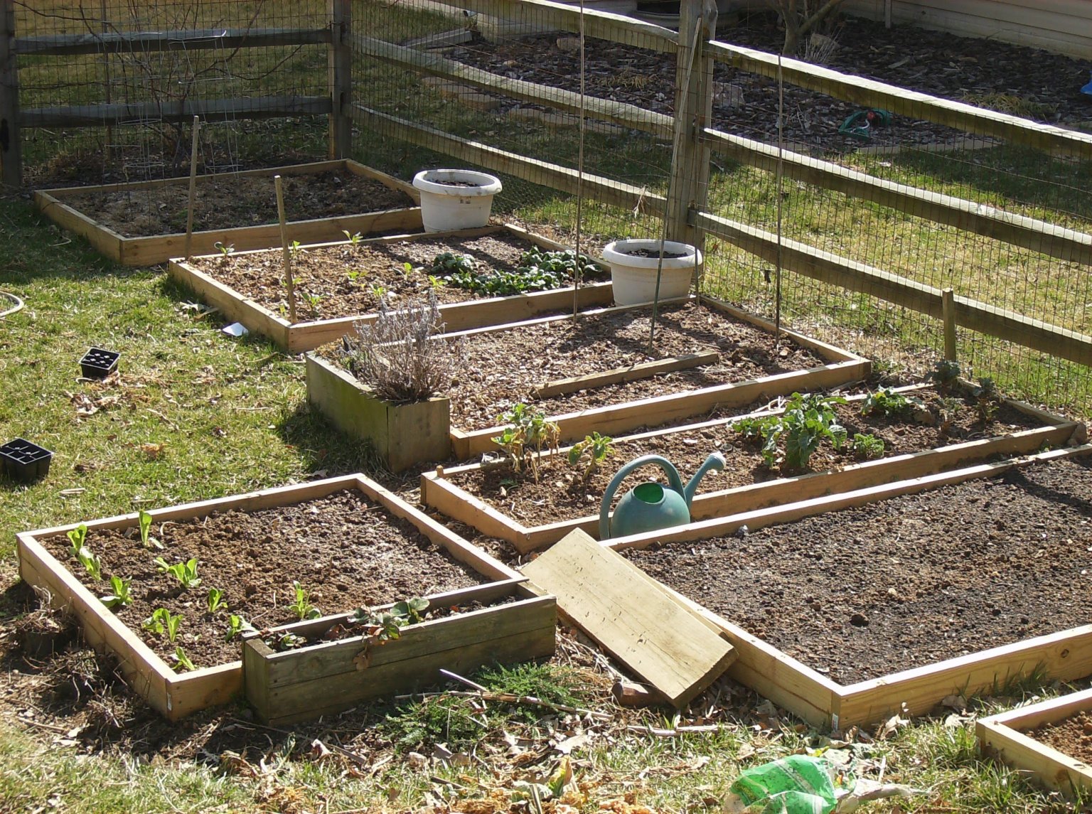 Best Way to Water Raised-Bed Gardens - EatHappyProject