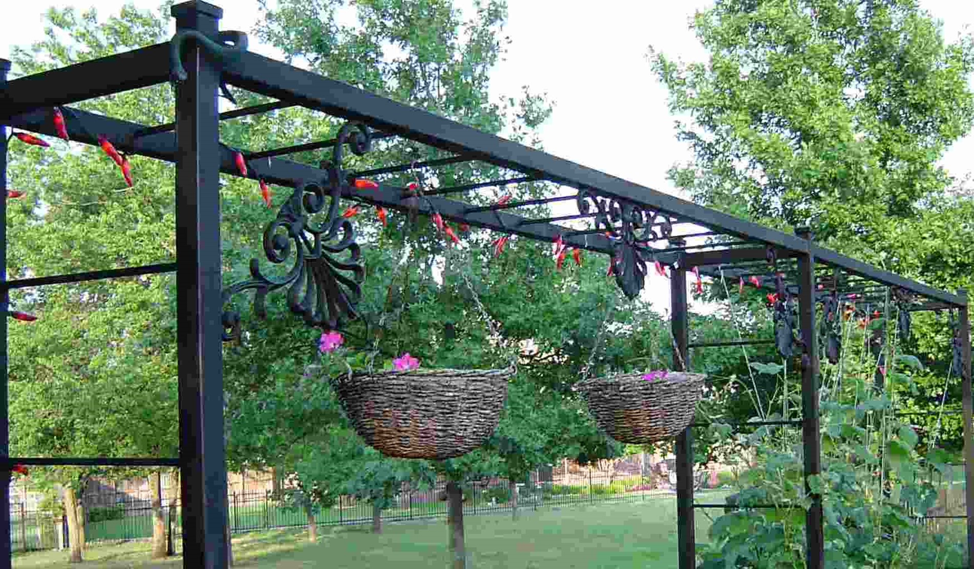 15 Stunning Grapevine Trellis Designs for Your Backyard Arbor EatHappyProject