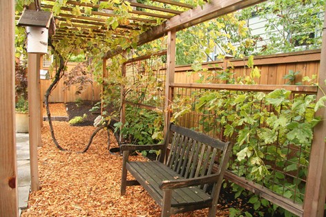 A Simple Trellis with A Bench