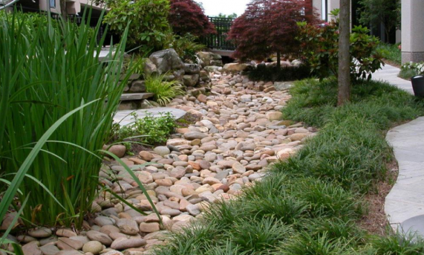 Backyard Dry Riverbed