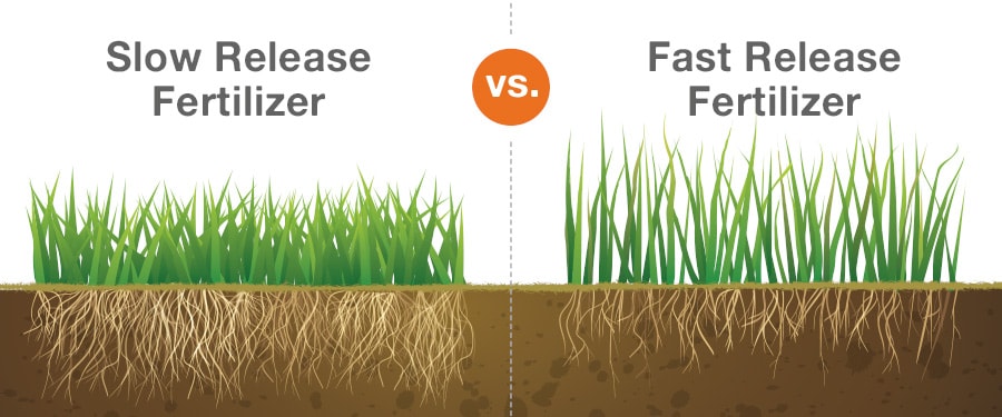 Choose the Correct Type of Fertilizer