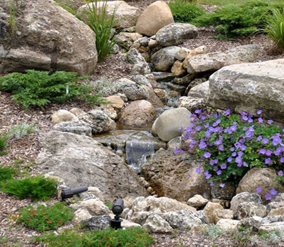 Dry River Garden