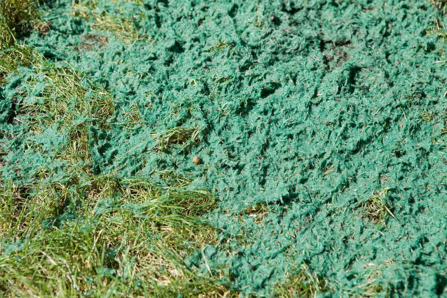 Is Hydroseeding the Right Choice for You?