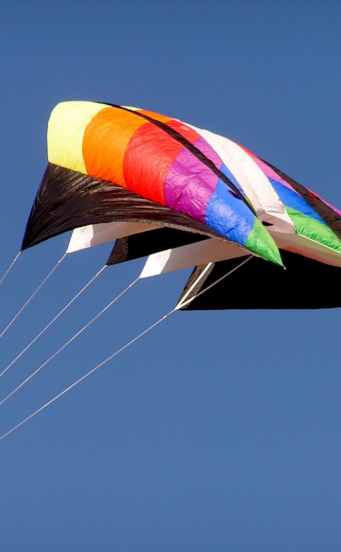 Parafoil Kites